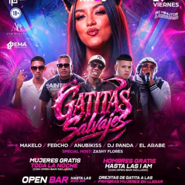 GATITAS SALVAJES OPEN BAR KAOS (+18)